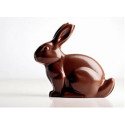Lapin chocolat